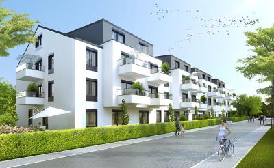 Flaminga, etap 1 (Neptun Developer)
