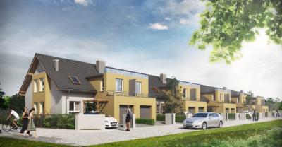 Kolonistów (STEED Developer)