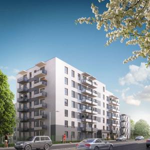 Ornament, etap 1 (White Stone)